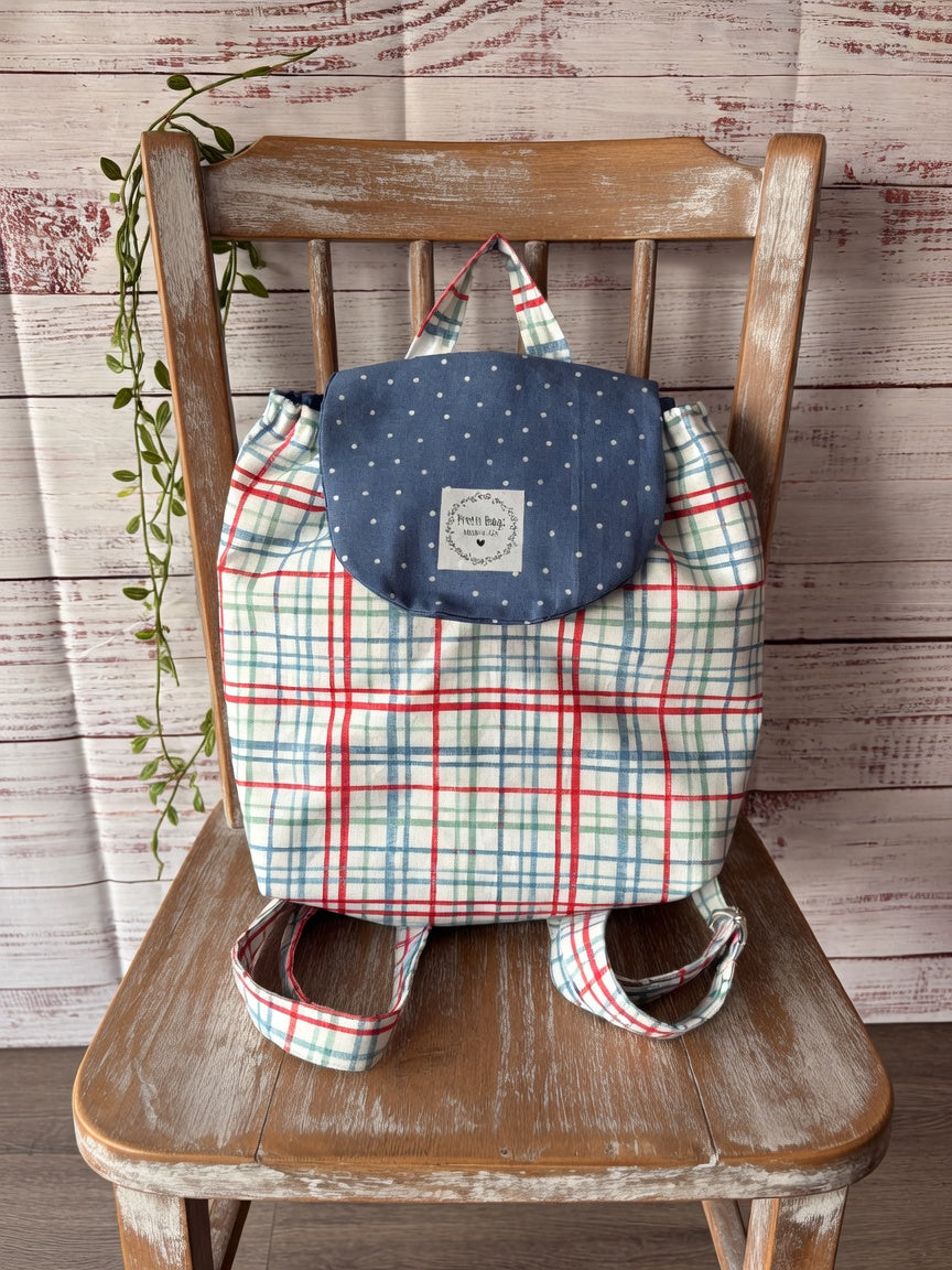 Blue Red Grid Bags
